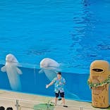 横浜・八景島シーパラダイスに投稿された画像（2022/8/15）