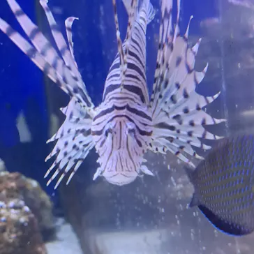 横浜・八景島シーパラダイスに投稿された画像（2022/8/15）