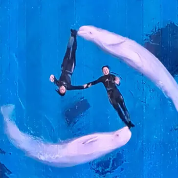 横浜・八景島シーパラダイスに投稿された画像（2022/8/15）