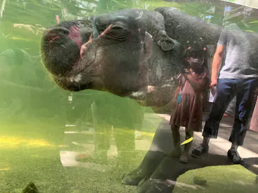 神戸どうぶつ王国に投稿された画像（2022/8/16）