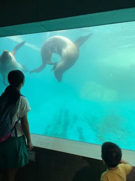 大分マリーンパレス水族館 「うみたまご」に投稿された画像（2022/8/16）