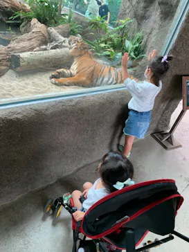 神戸どうぶつ王国に投稿された画像（2022/8/17）