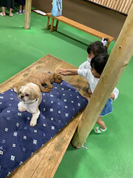 神戸どうぶつ王国に投稿された画像（2022/8/17）