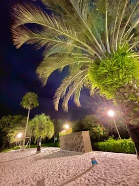 つま恋イルミネーションに投稿された画像（2022/8/17）