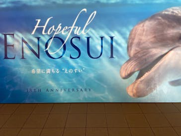 新江ノ島水族館に投稿された画像（2022/8/17）