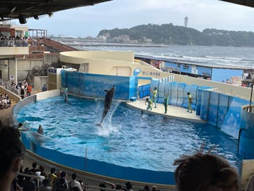 新江ノ島水族館に投稿された画像（2022/8/17）