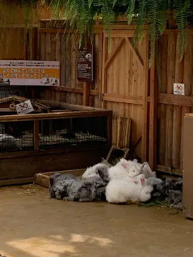 神戸どうぶつ王国に投稿された画像（2022/8/17）