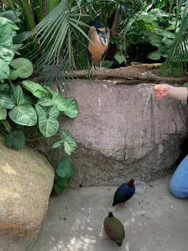 神戸どうぶつ王国に投稿された画像（2022/8/17）