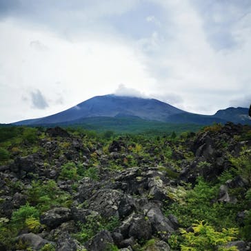 鬼押出し園に投稿された画像（2022/8/17）
