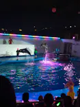 仙台うみの杜水族館に投稿された画像（2022/8/17）