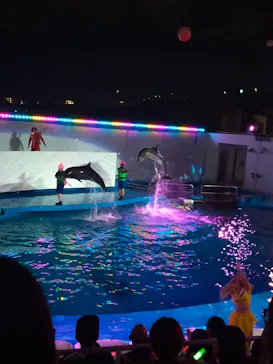 仙台うみの杜水族館に投稿された画像（2022/8/17）
