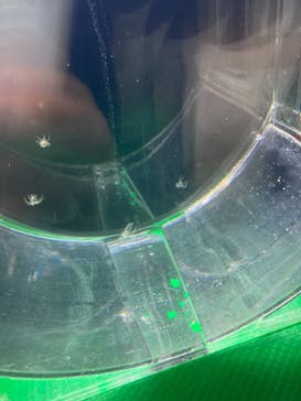 アクアワールド茨城県大洗水族館に投稿された画像（2022/8/17）