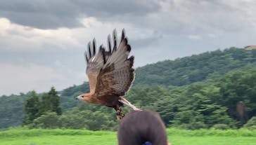 那須どうぶつ王国に投稿された画像（2022/8/17）