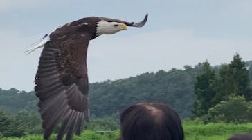 那須どうぶつ王国に投稿された画像（2022/8/17）