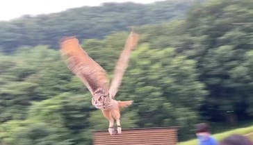 那須どうぶつ王国に投稿された画像（2022/8/17）