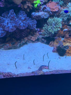 サンシャイン水族館に投稿された画像（2022/8/17）