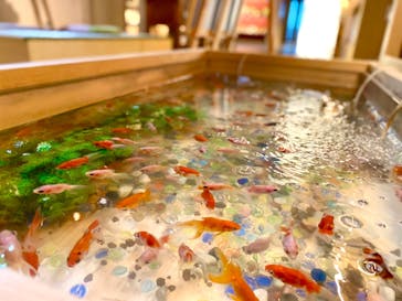 天然温泉おふろcafé湯守座に投稿された画像（2022/8/17）