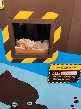 しながわ水族館に投稿された画像（2022/8/17）