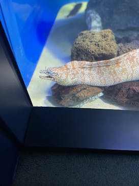 サンシャイン水族館に投稿された画像（2022/8/17）