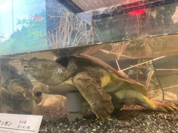 天王寺動物園に投稿された画像（2022/8/17）