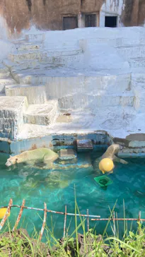 天王寺動物園に投稿された画像（2022/8/17）