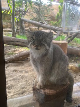 那須どうぶつ王国に投稿された画像（2022/8/16）