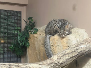 那須どうぶつ王国に投稿された画像（2022/8/16）