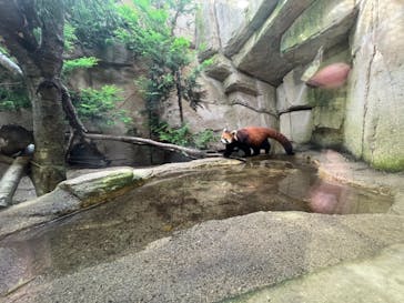 那須どうぶつ王国に投稿された画像（2022/8/16）