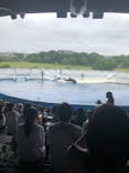 京都水族館に投稿された画像（2022/8/17）