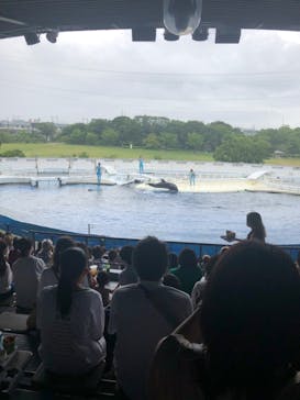 京都水族館に投稿された画像（2022/8/17）