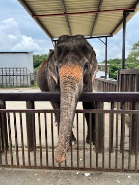 那須サファリパークに投稿された画像（2022/8/17）