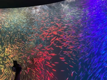 名古屋港水族館に投稿された画像（2022/8/17）