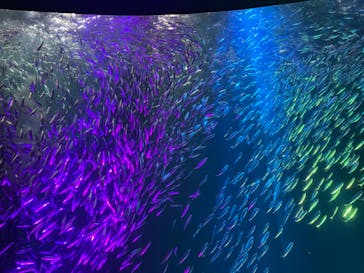 名古屋港水族館に投稿された画像（2022/8/17）