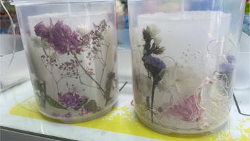 ずこうしつ〜sugamo〜に投稿された画像（2022/8/17）