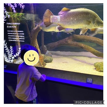 カワスイ 川崎⽔族館に投稿された画像（2022/8/17）