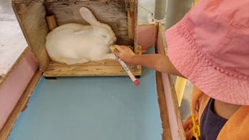 沖縄こどもの国に投稿された画像（2022/8/17）