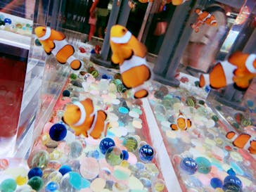 ゼロ距離水族館 伊勢シーパラダイスに投稿された画像（2022/8/17）