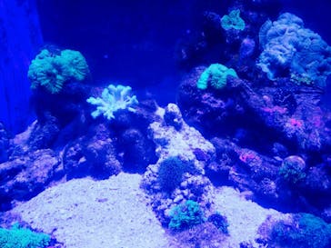 ゼロ距離水族館 伊勢シーパラダイスに投稿された画像（2022/8/17）