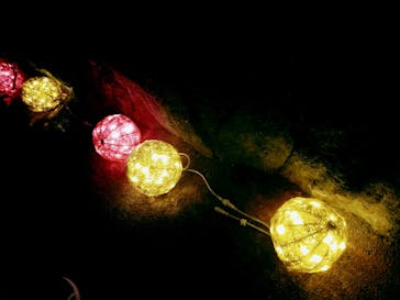 ゼロ距離水族館 伊勢シーパラダイスに投稿された画像（2022/8/17）