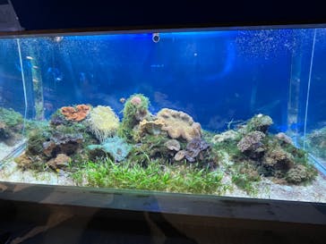 名古屋港水族館に投稿された画像（2022/8/17）