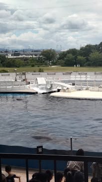 京都水族館に投稿された画像（2022/8/17）