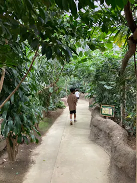 神戸どうぶつ王国に投稿された画像（2022/8/17）