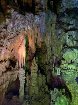 あぶくま洞に投稿された画像（2022/8/17）