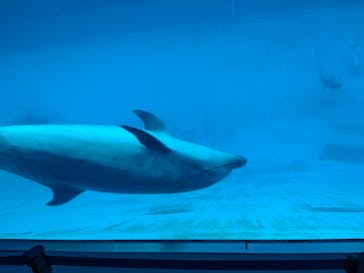 名古屋港水族館に投稿された画像（2022/8/17）