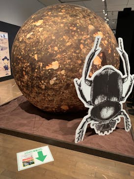 体感するファーブル昆虫展 NAGOYAに投稿された画像（2022/8/17）