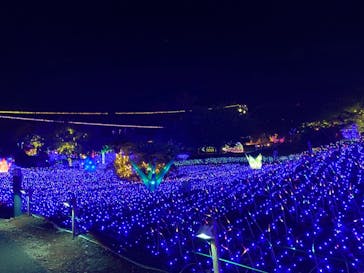 伊豆ぐらんぱる公園に投稿された画像（2022/8/15）