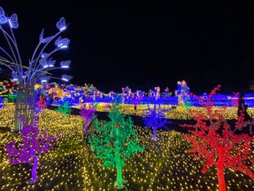 伊豆ぐらんぱる公園に投稿された画像（2022/8/15）