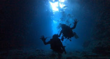 武藤潜水に投稿された画像（2022/8/17）