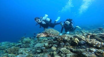 武藤潜水に投稿された画像（2022/8/17）