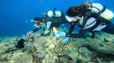 武藤潜水に投稿された画像（2022/8/17）